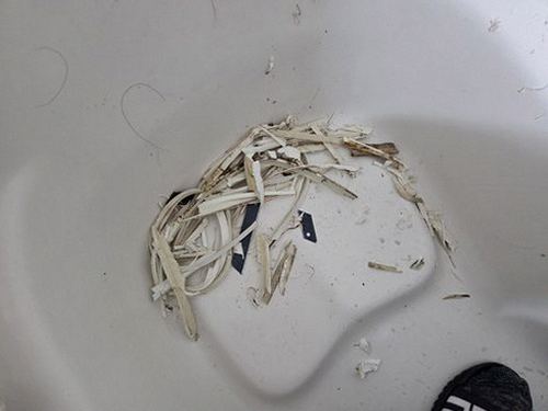누수탐지 남산동 누수탐지 아파트 화장실 천장 얼룩 의외의 원인