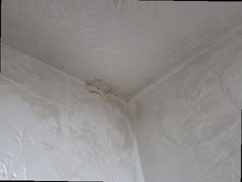 대전 서구 함께 확인 대전 서구 함께 확인