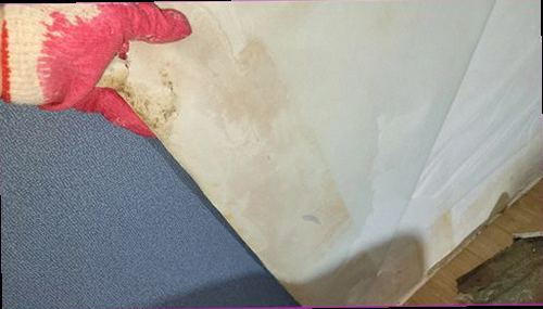 부산 서구 누수탐지 벽면 습기 흔적과 점검 장비를 확인하는 현장