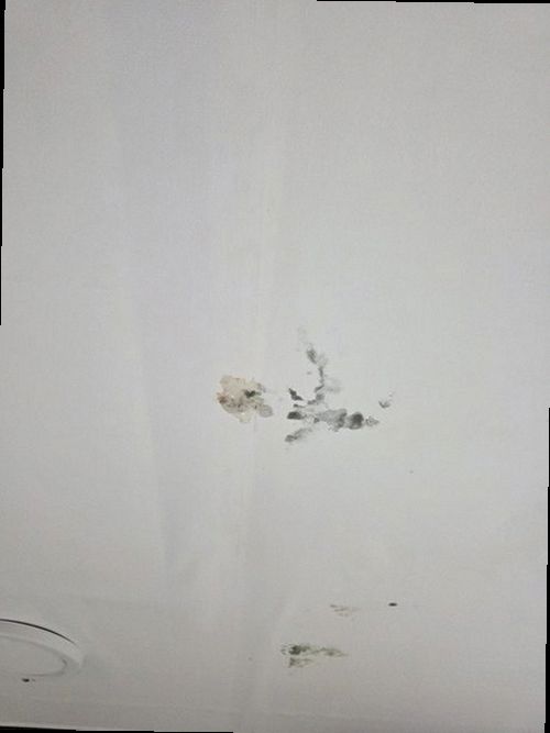 영도구 전화 연결 영도구 전화 연결