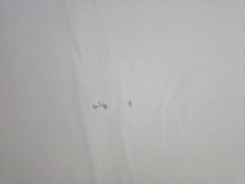 누수탐지 일광읍 윗집화장실누수 자국, 의외로 놓치기 쉬운 신호