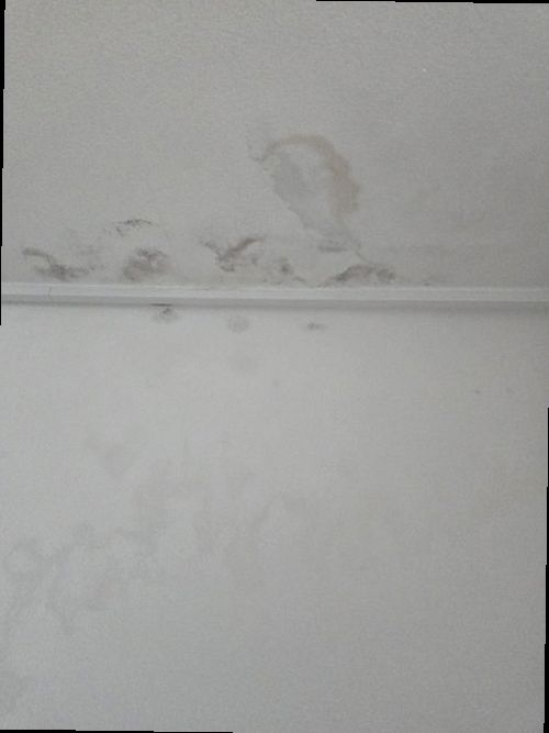 부산 북구 누수탐지 화전동 주택가 시공 후기 사진