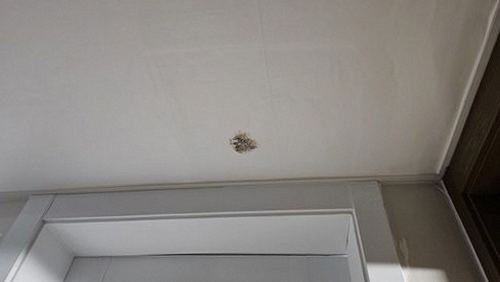 누수탐지 안방 천장 얼룩 부위와 주변 벽면 상태를 살펴보는 점검 장면