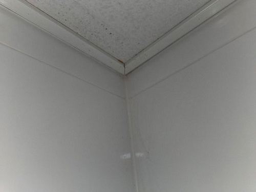 누수탐지 영선동 누수탐지 누수배관찾기 현장 사례로 본 위험 신호