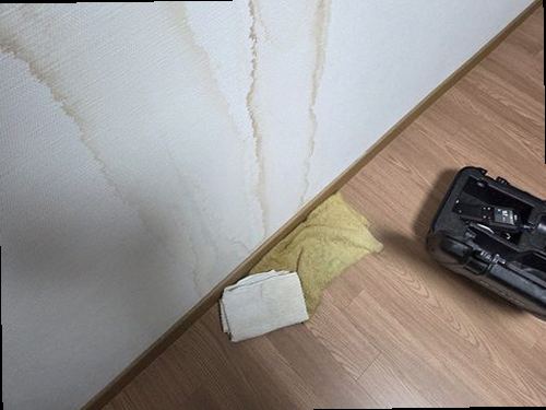 누수탐지 동삼동 누수탐지 직접 해보니 거실도배변색 원인 달랐다