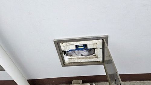 누수탐지 천장 얼룩 부위를 날짜별로 기록한 사진 정리 화면