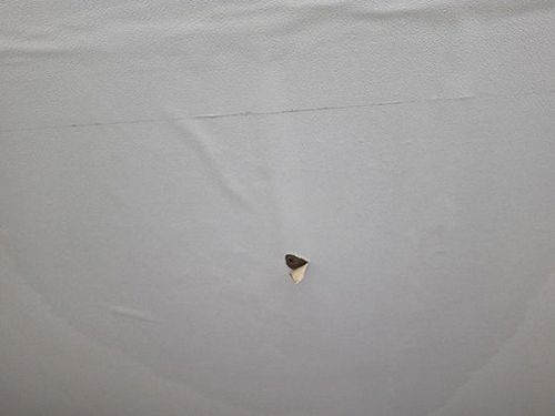 누수탐지 거실 천장 얼룩 부위를 확인하며 배관 점검 장비를 설치하는 현장 모습