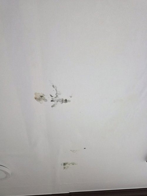 누수탐지 동대신동 누수탐지 아파트 안방 천장 얼룩이 번진 사례