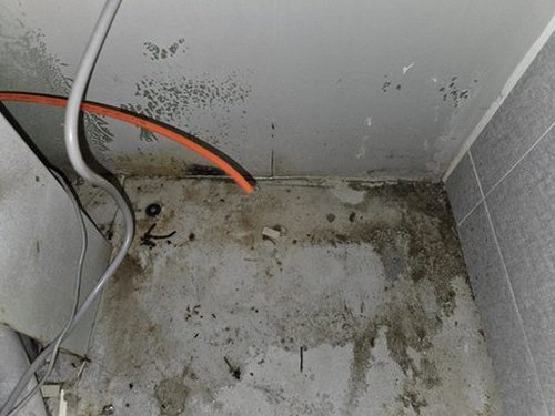 누수탐지 홍도동 누수탐지 아파트 벽지 얼룩이 사라진 과정