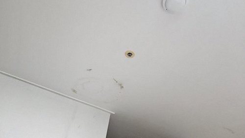 누수탐지 거실 천장에 번진 물자국과 벽지 상태를 살펴보는 모습