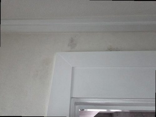 청주시 상당구 누수탐지 북문로 아파트 15층 최상층 방 천장 시공 후기 사진