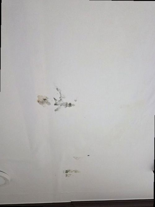 대전 동구 누수탐지 홍도동 아파트 9층 안방 벽 시공 후기 사진