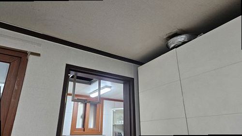 대전 서구 현장 확인