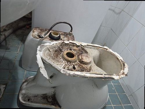 동래구 누수탐지 사직동 빌라 2층 욕실 시공 후기 사진
