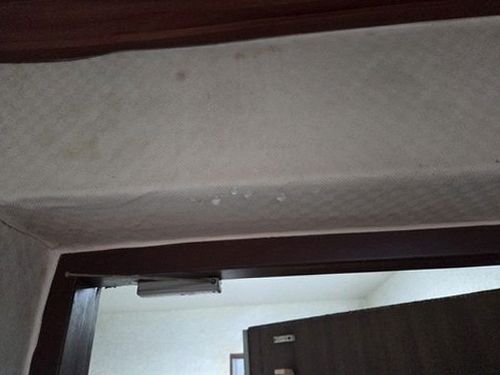 누수탐지 바닥 가장자리의 물기와 변색 흔적을 확인하는 점검 현장