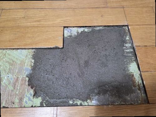 대덕구 현장 진단 대덕구 현장 진단