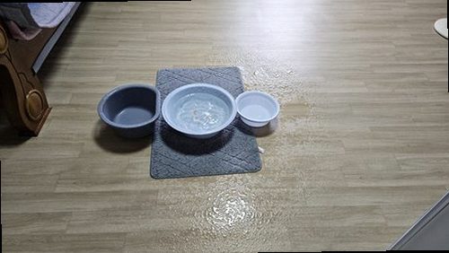 누수탐지 금곡동 누수탐지 뒤 거실 천장 곰팡이 해결된 아파트 사례