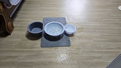누수탐지 벽체 음향 점검 장비를 사용해 배관 소리를 확인하는 현장 장면