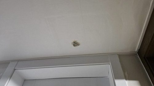 누수탐지 대청동 누수탐지 아파트 안방 천장 얼룩 해결 기록