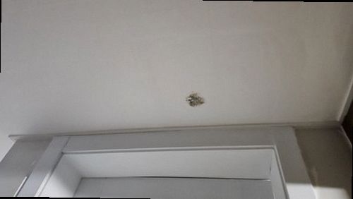 기장군 누수탐지 천장과 벽면의 누수 흔적을 위치별로 확인하는 모습