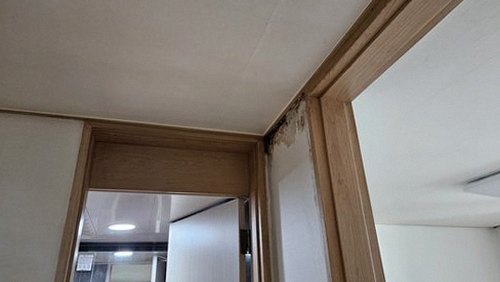 누수탐지 누수 원인 점검 후 수리 범위와 복구 순서를 확인하는 장면