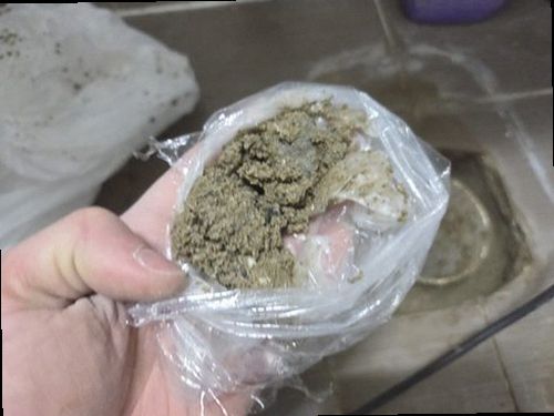 대전 서구 누수탐지 용문동 상가 2층 천장 안쪽 시공 후기 사진