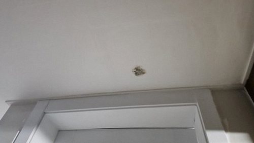 누수탐지 옥천읍 누수탐지 위층누수책임 미리 확인할 점검 항목