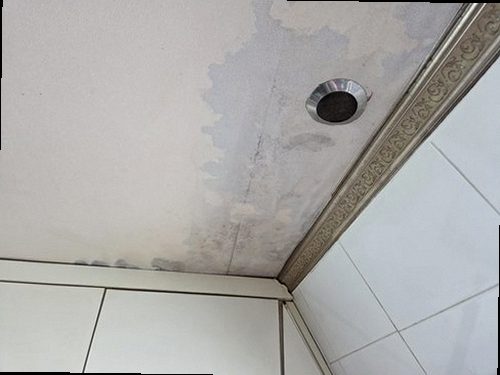 미세누수 정밀탐지 청주시 청원구 누수탐지 미세누수 정밀탐지