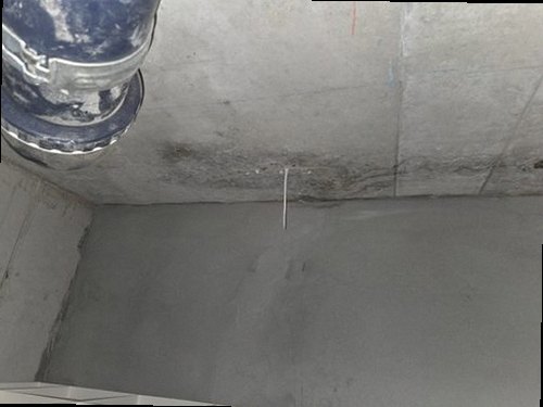 부산 서구 누수탐지 벽면의 변색과 천장 주변 흔적을 살피는 점검 장면