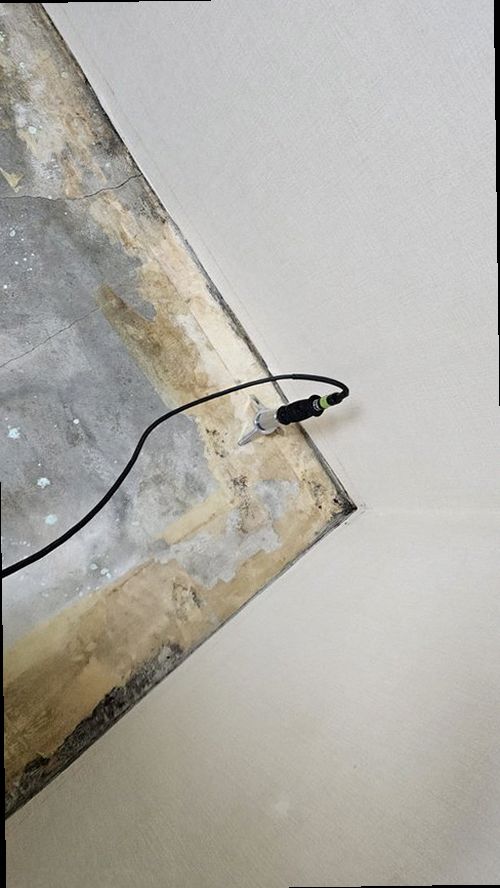 사하구 누수탐지 천장 얼룩과 벽면 습기 흔적을 확인하는 모습