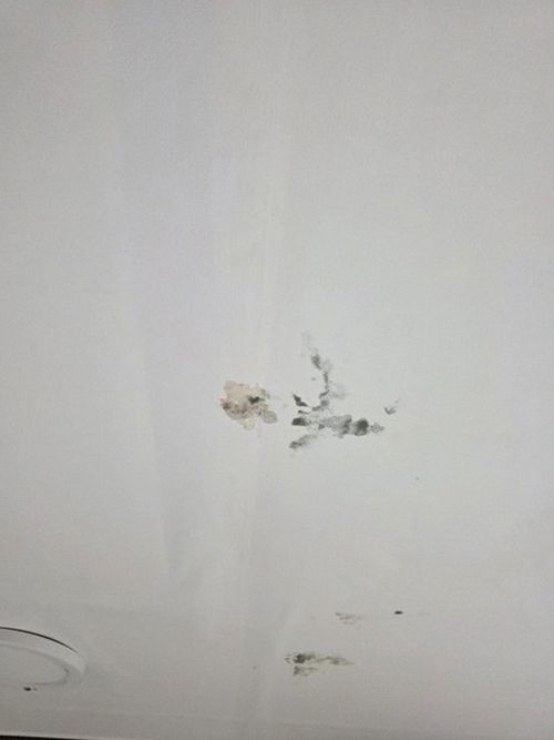 누수탐지 연산동 누수탐지 누수증상대처 천장 얼룩이 번지기 전 확인할 점