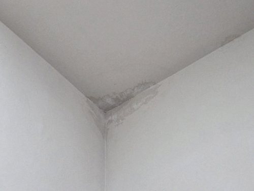 누수탐지 청학동 누수탐지 누수원인 3가지 찾아 천장 얼룩 잡은 과정