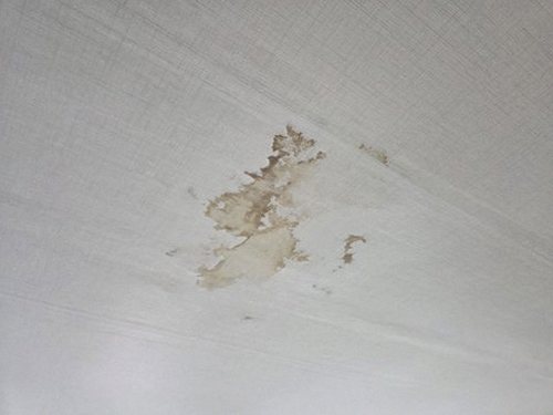 누수탐지 벽면 얼룩과 바닥 물기를 확인하며 누수 흔적을 기록하는 모습