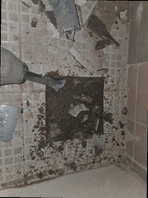 대덕구 누수탐지 보일러 배관