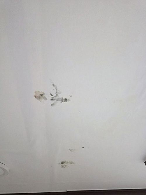 누수탐지 중리동 누수탐지 비용과 보험을 살핀 현장 사례
