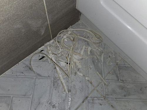 누수탐지 사직동 누수탐지 수도관터짐 방치와 점검 중 무엇이 나은가