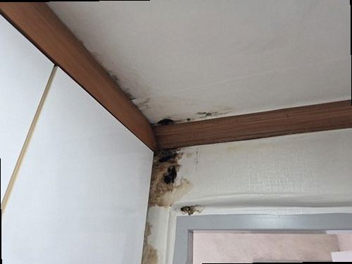 부여군 누수탐지 미세누수 정밀탐지