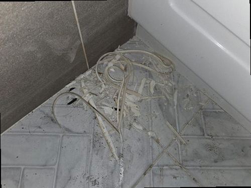 부여군 누수탐지 규암면 상가 1층 화장실 벽면 시공 후기 사진