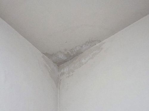 누수탐지 날짜별로 얼룩 변화를 기록한 점검 노트와 측정 결과표