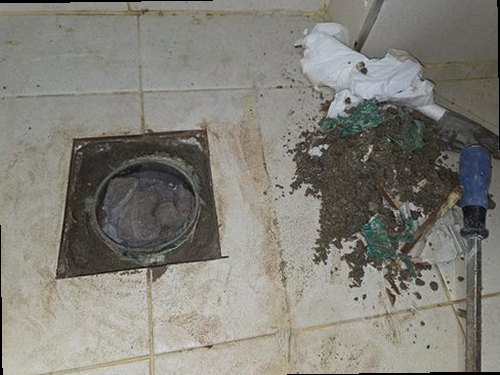 부여군 재점검 기록 부여군 재점검 기록