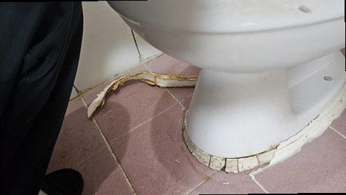 부여군 누수탐지 양화면 빌라 2층 욕실 바닥 시공 후기 사진