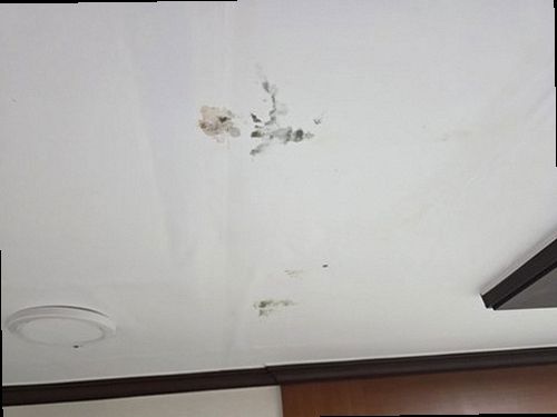 천장 누수 대전 서구 누수탐지 천장 누수
