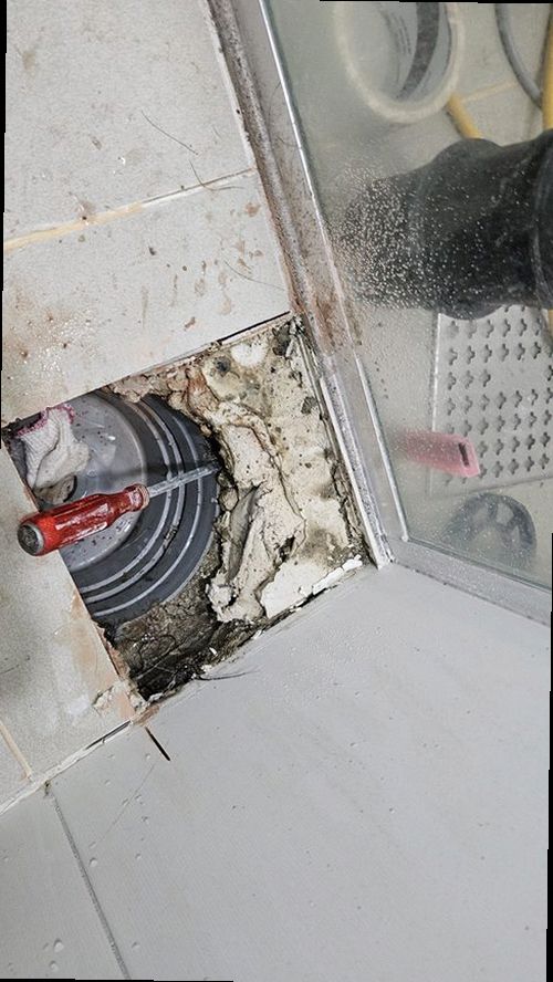 유성구 현장 확인