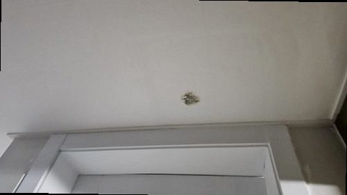 부산 남구 누수탐지 감만동 다세대주택 3층 세탁실 시공 후기 사진