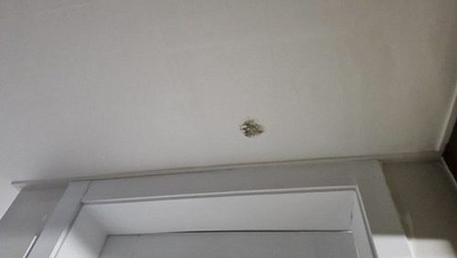 누수탐지 부평동 누수탐지 아파트 위층 누수 3단계 확인법