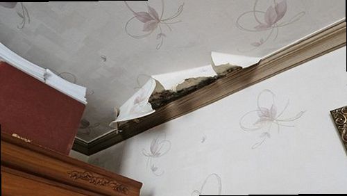 옥천군 누수탐지 청산면 상가주택 1층 시공 후기 사진