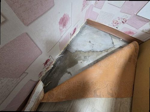 부여군 누수탐지 규암면 단독주택 1층 거실 벽 시공 후기 사진