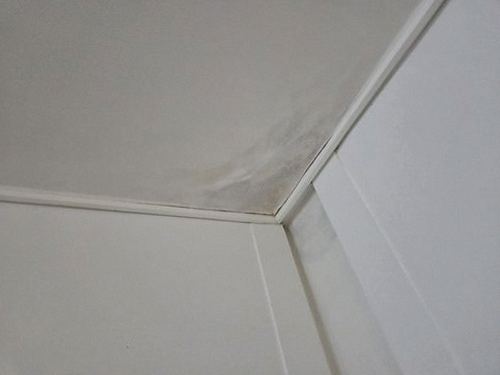 누수탐지 용두동 아파트 누수탐지, 부분 점검과 정밀 진단 비교