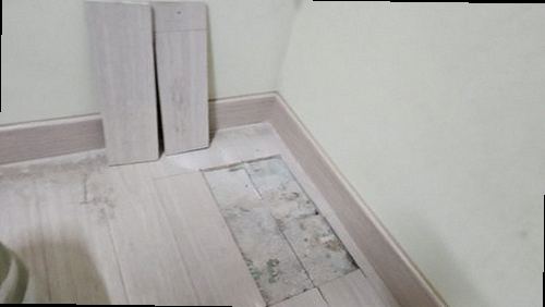 부산진구 누수탐지 바닥 얼룩과 벽면 변색을 기록하는 모습