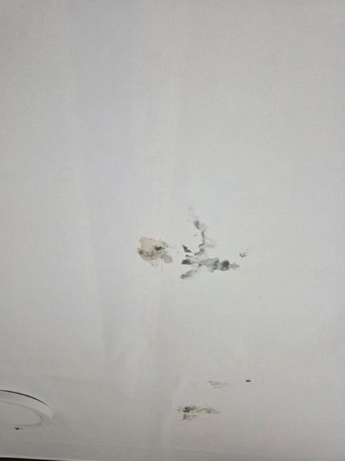 누수탐지 금성면 누수탐지 누수책임분쟁 어떻게 가릴까